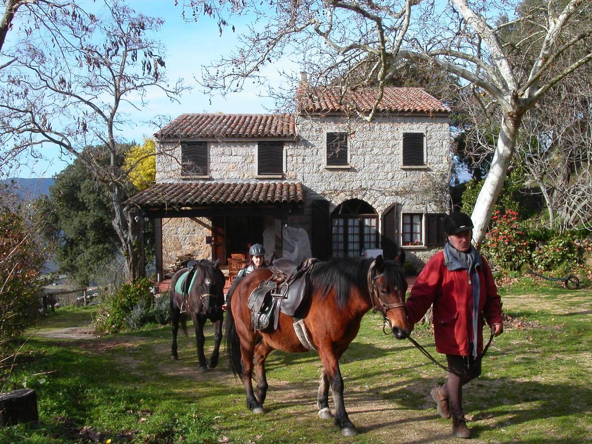 Maison D'Hotes De Charme De Croccano Sartène Exteriör bild